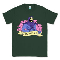 Sports Green Vintage Skeletor ı am not nice Classic Tee - artisFamous