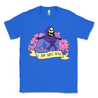 True Royal Vintage Skeletor ı am not nice Classic Tee - artisFamous