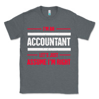 Charcoal Heather funny accounting design   gift for accountants Classic Tee - artisFamous