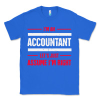 Funny Accounting Design   Gift For Accountants Classic Tee | Teevron