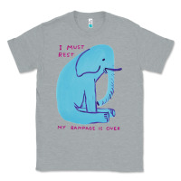 Heather Grey i must rest my rampage is over Classic Tee - artisFamous