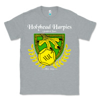 Heather Grey holyhead harpies Classic Tee - artisFamous