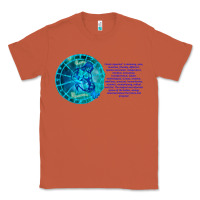 Copper Aquarius Sign Zodiac Astrology Horoscope T-shirt Classic Tee - artisFamous