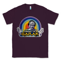 Plum friend of garak Classic Tee - artisFamous