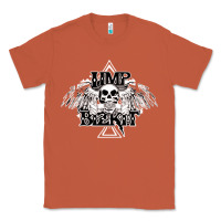 Copper Limp Bizkit Essential Classic Tee - artisFamous