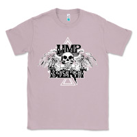 Lilac Limp Bizkit Essential Classic Tee - artisFamous