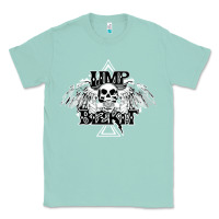 Seafoam Limp Bizkit Essential Classic Tee - artisFamous