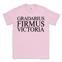 Bubblegum Pink gradarius firmus victoria Classic Tee - artisFamous