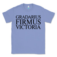 Colony Blue gradarius firmus victoria Classic Tee - artisFamous