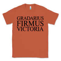 Copper gradarius firmus victoria Classic Tee - artisFamous