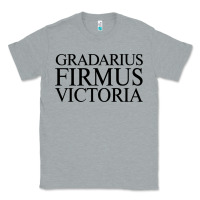Heather Grey gradarius firmus victoria Classic Tee - artisFamous
