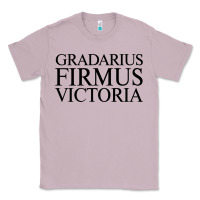 Lilac gradarius firmus victoria Classic Tee - artisFamous
