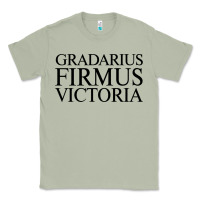 Matcha gradarius firmus victoria Classic Tee - artisFamous