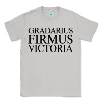 Moon Dust gradarius firmus victoria Classic Tee - artisFamous