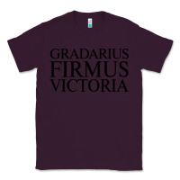 Plum gradarius firmus victoria Classic Tee - artisFamous