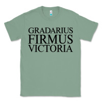 Sage gradarius firmus victoria Classic Tee - artisFamous