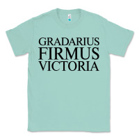 Seafoam gradarius firmus victoria Classic Tee - artisFamous