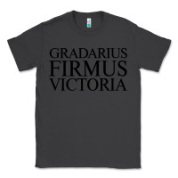 Smoke gradarius firmus victoria Classic Tee - artisFamous