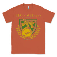 Copper holyhead harpies Classic Tee - artisFamous