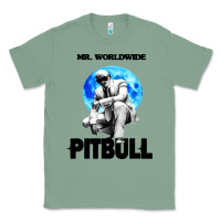 Sage merch mr worldwide pit bull Classic Tee - artisFamous