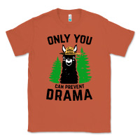 Copper only you can prevent drama llama Classic Tee - artisFamous