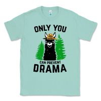 Seafoam only you can prevent drama llama Classic Tee - artisFamous
