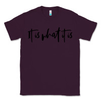 Plum it is what it is Classic Tee - artisFamous