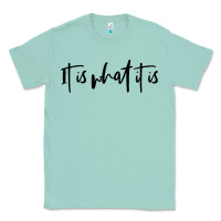 Seafoam it is what it is Classic Tee - artisFamous