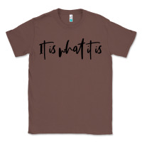 Chestnut it is what it is Classic Tee - artisFamous