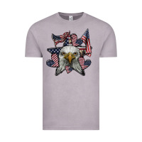 Vintage Zinc eagle star png Vintage Tee - SublimationCraftShop