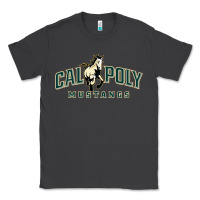 Smoke cal poly mustangs Classic Tee - artisFamous