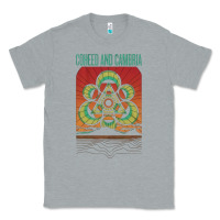 Heather Grey coheed and cambria Classic Tee - artisFamous