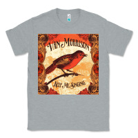 Heather Grey Van Morrison Music Classic Tee - artisFamous