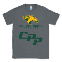 Charcoal Heather cal pol pomona Classic Tee - artisFamous