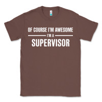 Chestnut i'm awesome i'm a supervisor Classic Tee - artisFamous