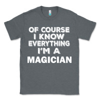 Charcoal Heather i know everything i'm a magician Classic Tee - artisFamous
