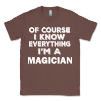 Chestnut i know everything i'm a magician Classic Tee - artisFamous