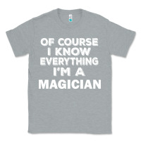 Heather Grey i know everything i'm a magician Classic Tee - artisFamous