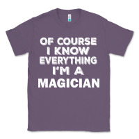 Lavender i know everything i'm a magician Classic Tee - artisFamous