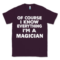 Plum i know everything i'm a magician Classic Tee - artisFamous