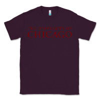 Plum College of Chicago Classic Tee - artisFamous