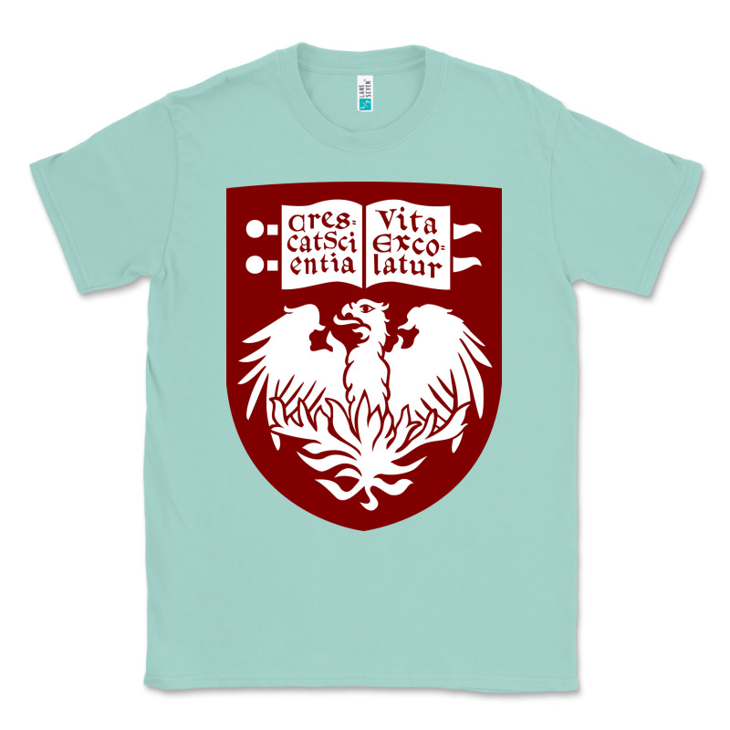 College Of Chicago Classic Tee by artisFamous | Teevron