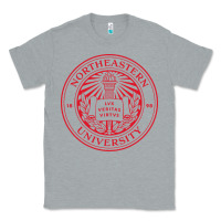 Heather Grey northeastern university Classic Tee - artisFamous