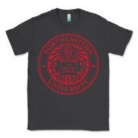 Smoke northeastern university Classic Tee - artisFamous