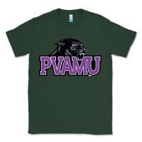 Sports Green prairie view a&m panthers and lady panthers Classic Tee - artisFamous