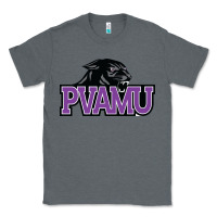 Charcoal Heather prairie view a&m panthers and lady panthers Classic Tee - artisFamous