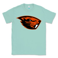 Seafoam oregon merch tee Classic Tee - artisFamous