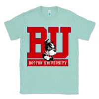 Seafoam boston university terriers Classic Tee - artisFamous