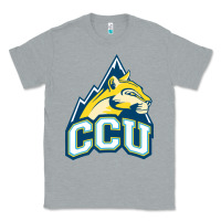 Heather Grey colorado christian Classic Tee - artisFamous