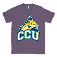 Lavender colorado christian Classic Tee - artisFamous